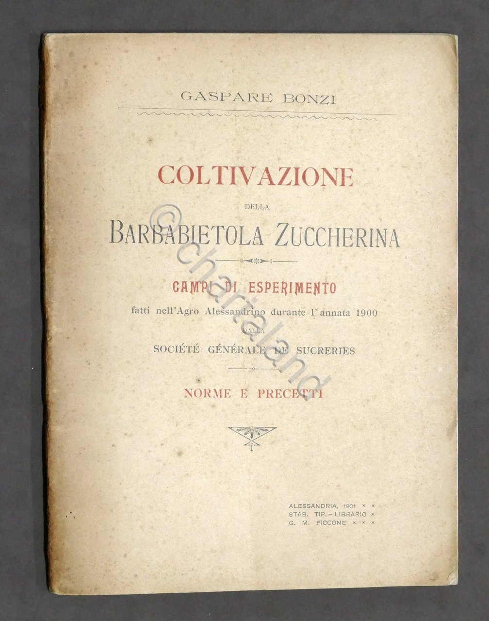 G. Bonzi - Coltivazione della barbabietola zuccherina - Campi esperimento … | Immagine principale