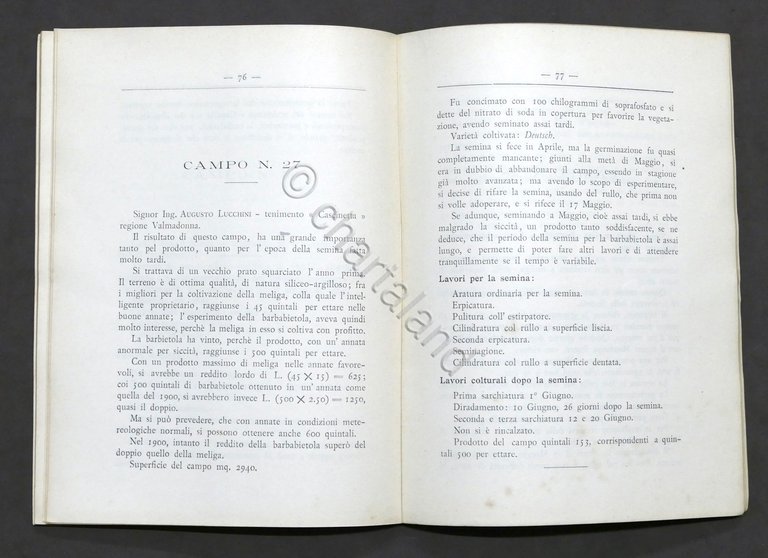 G. Bonzi - Coltivazione della barbabietola zuccherina - Campi esperimento … | Immagine Gallery 3