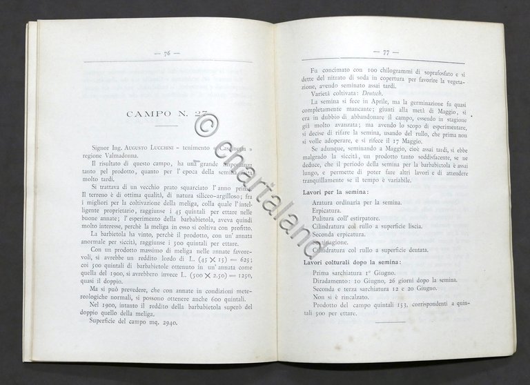 G. Bonzi - Coltivazione della barbabietola zuccherina - Campi esperimento … | Immagine Gallery 4