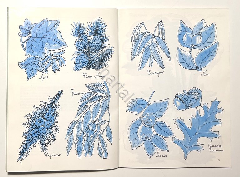 G. Cortese - Modelli per dipingere: Piatti Ornamentali - ed. … | Immagine Gallery 5