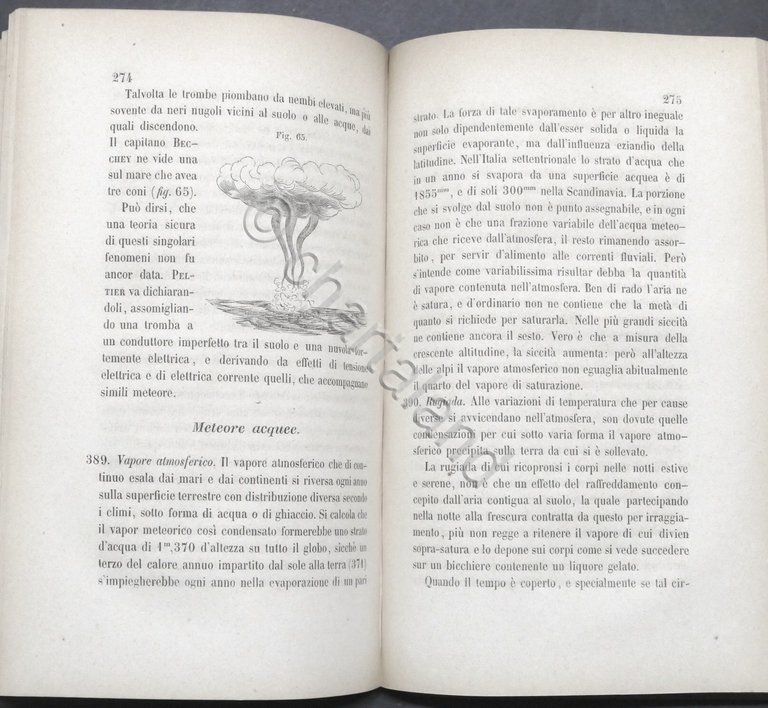 G. D. Botto - Elementi di fisica generale e sperimentale …