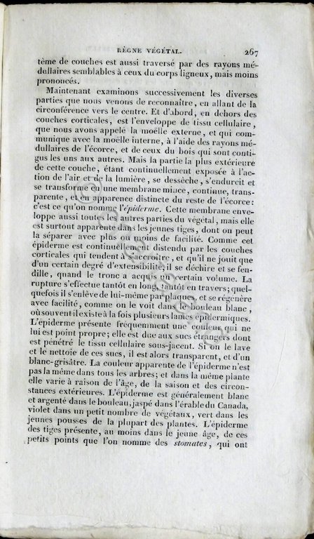G. Delafosse - Precis elementaire d'histoire naturelle - 1830 | Immagine Gallery 4