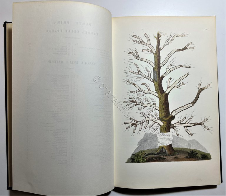 G. L. Alibert - Clinica del Parigino Spedale di San …