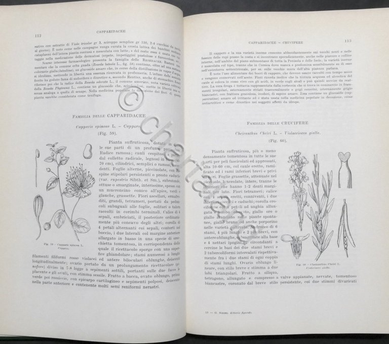 G. Negri - Nuovo Erbario figurato - Piante medicinali e …