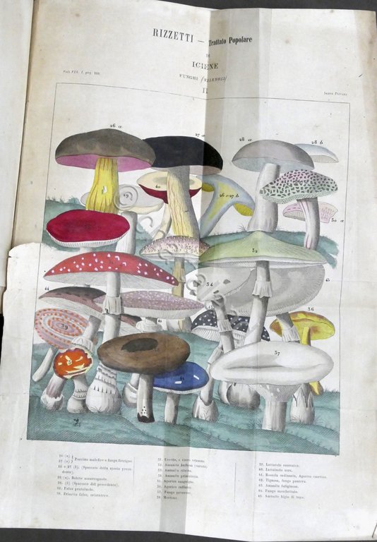 G. Rizzetti - Trattato popolare d'igiene privata e pubblica- Opera …