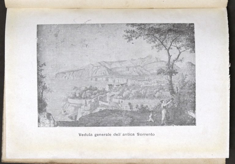 G. Saltovar - Turquatiello Poemetto sorrentino illustrato - 1^ ed. …