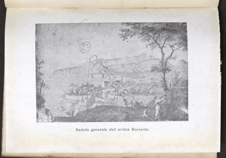 G. Saltovar - Turquatiello Poemetto sorrentino illustrato - 1^ ed. …