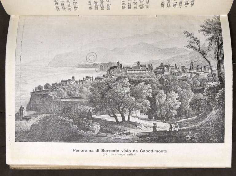 G. Saltovar - Turquatiello Poemetto sorrentino illustrato - 1^ ed. …