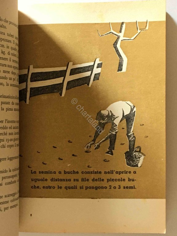 G. Scafati - L'orto di guerra - Uff. Propaganda P.N.F. …