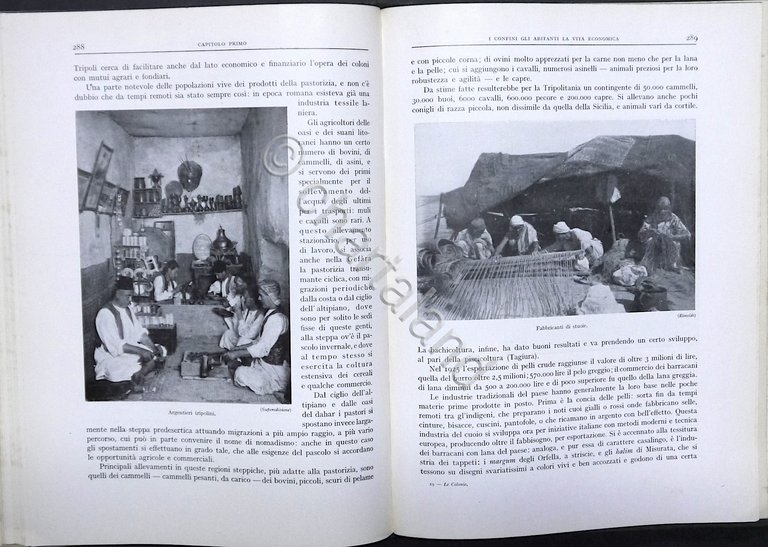 G. Stefanini, Ardito Desio - Le Colonie, Rodi e le …