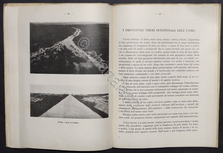G. Trainito - Nozioni di igiene - ed. 1936 | Immagine Gallery 2