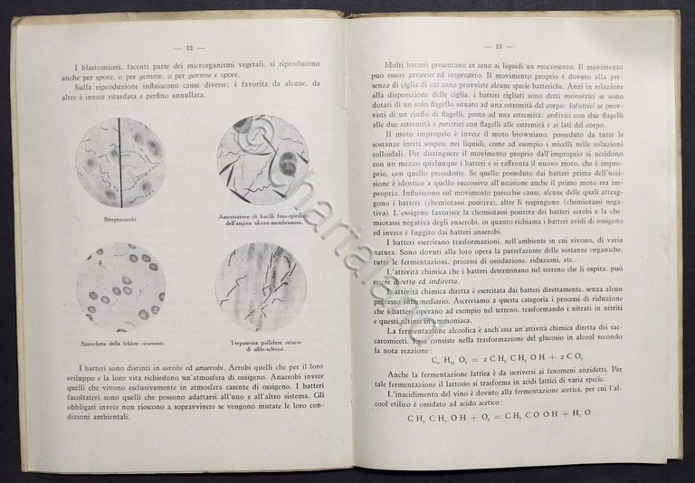 G. Trainito - Nozioni di igiene - ed. 1936 | Immagine Gallery 3