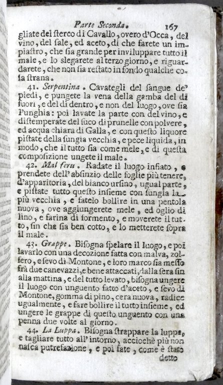 Ganevese Il grande marescalco francese maestro della conoscenza de cavalli …