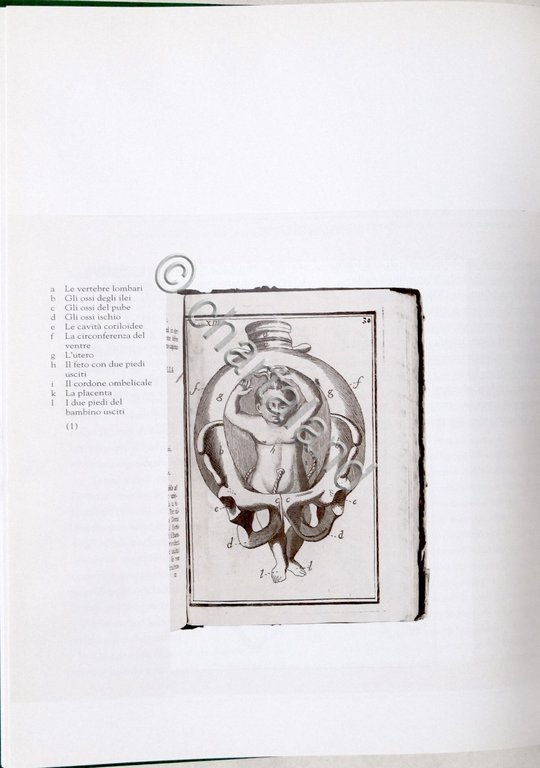 Giorgio Cosmacini - Storia dell'Ostetricia - Opera completa - ed. …