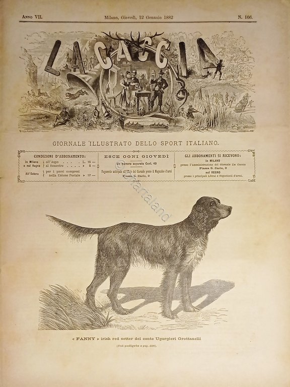 Giornale Illustrato dello Sport Italiano - La Caccia N. 166 …