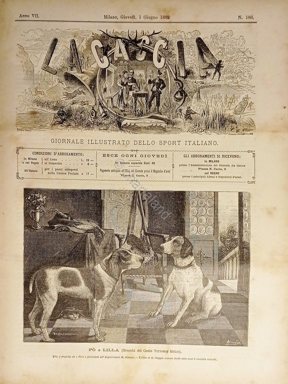 Giornale Illustrato dello Sport Italiano - La Caccia N. 186 …