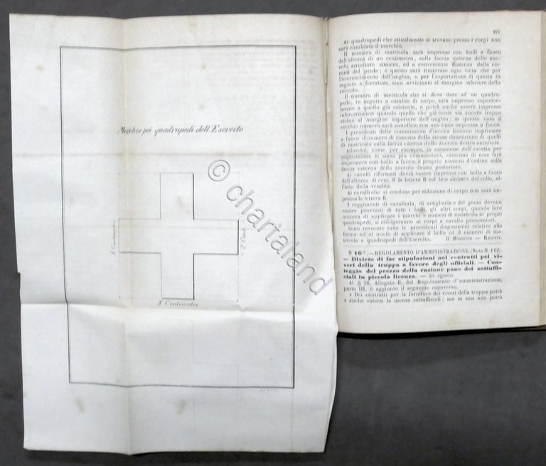 Giornale Militare Ufficiale - Raccolta fascicoli Anno 1875 | Immagine Gallery 4