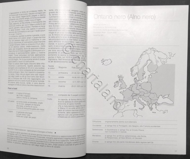 Godet - Alberi dell'Italia e dell'Europa Centrale nelle quattro stagioni …