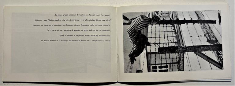 Guida - Mauthausen: Vous qui entrez laissez ici toute espérance … | Immagine Gallery 2