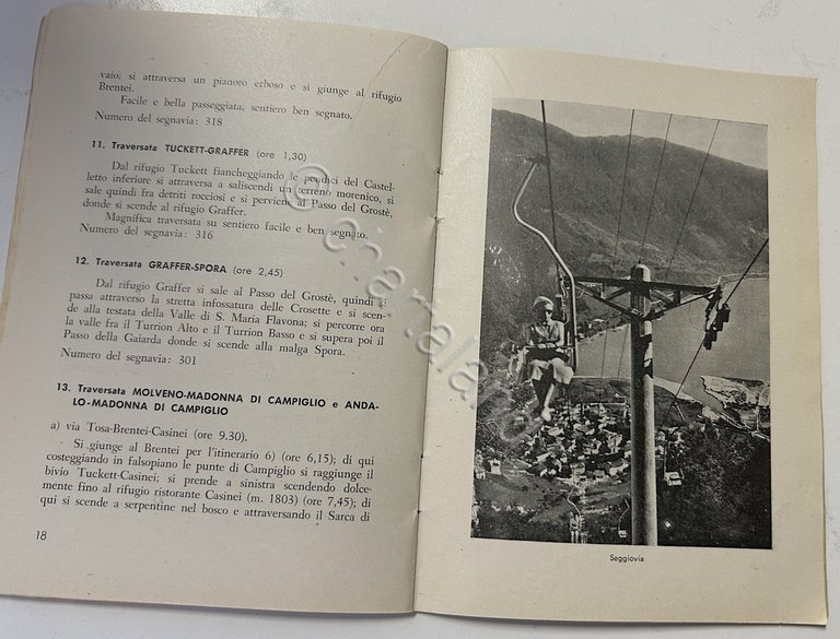Guida delle passeggiate ed escursioni dintorni di Molveno Andalo - …