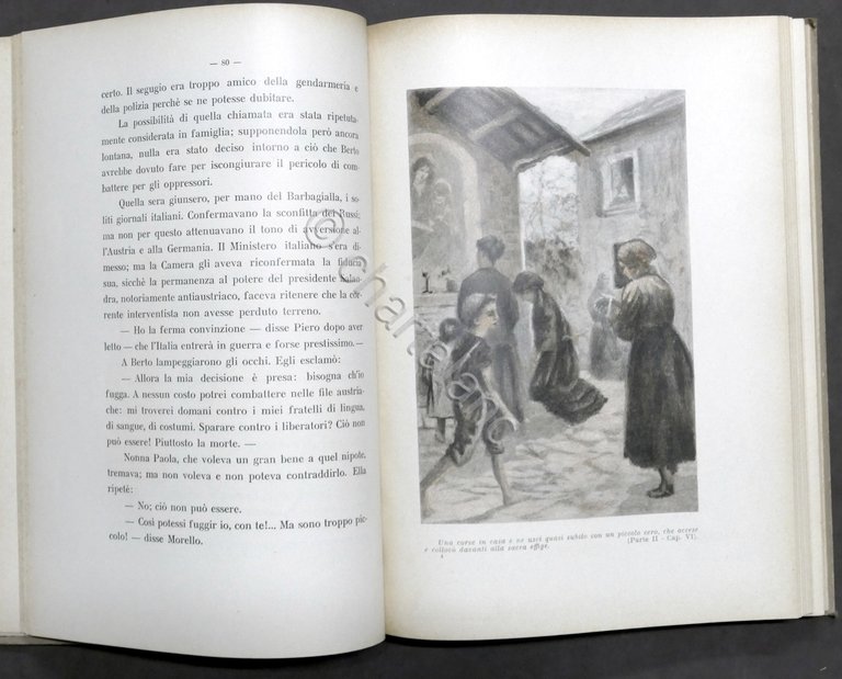 Guido Fabiani - La gran fiamma - Libro per i …