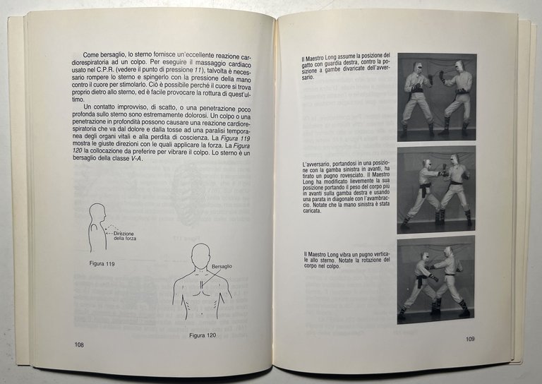 H. Long - Il Tocco del Drago: Punti vulnerabili del … | Immagine Gallery 2