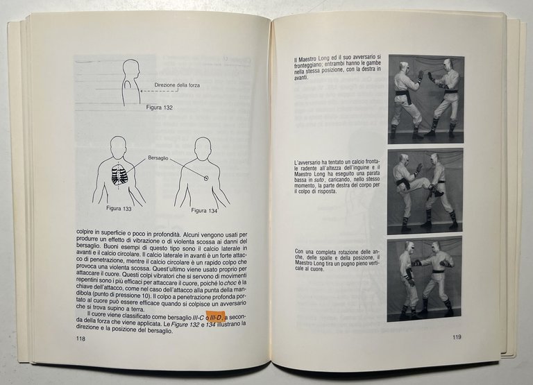 H. Long - Il Tocco del Drago: Punti vulnerabili del … | Immagine Gallery 4