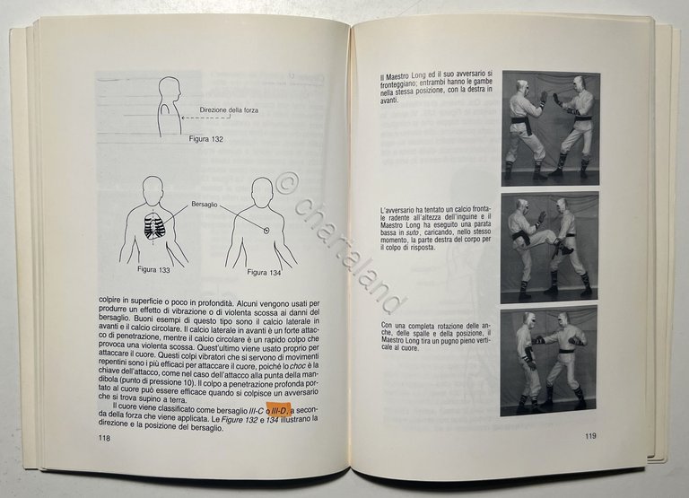 H. Long - Il Tocco del Drago: Punti vulnerabili del … | Immagine Gallery 6