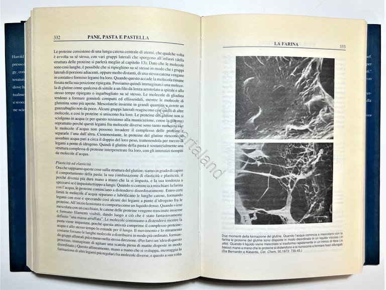 H. McGee - Il Cibo e la Cucina: Scienza e …