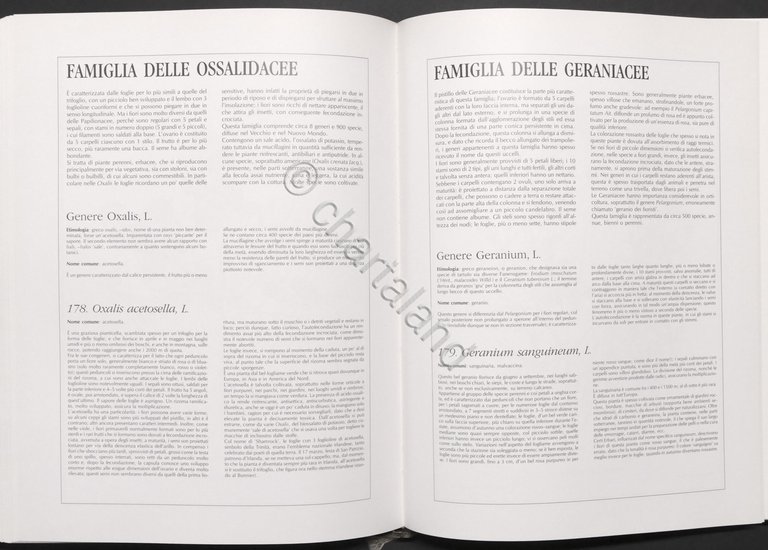 H. Romagnesi, J. Weill - Fiori selvatici - 1^ ed. …