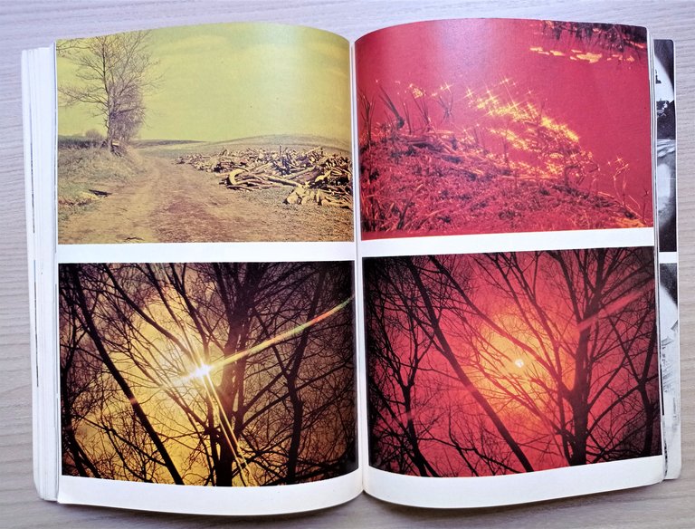 I filtri fotografici: a che servono, come si usano - …