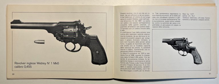 I. V. Hogg - Pistole e Revolvers Militari 1900/45 - …