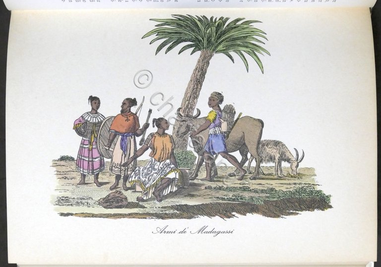 Il Decamerone nero - Racconti africani raccolti da Leo Frobenius …