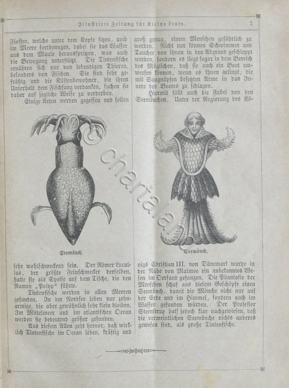 Illustrirte Zeitung fur kleine Leute - VI Band - 1880 … | Immagine Gallery 3
