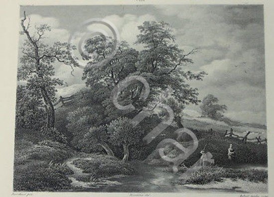 Incisione d'autore '800 da dipinto Paesaggio di Ruisdael del Beccaria …