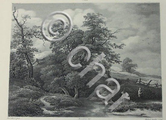 Incisione d'autore '800 da dipinto Paesaggio di Ruisdael del Beccaria …