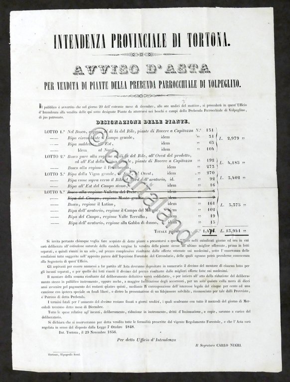 Intendenza di Tortona - Avviso Asta vendita piante parrocchiale Volpeglino …