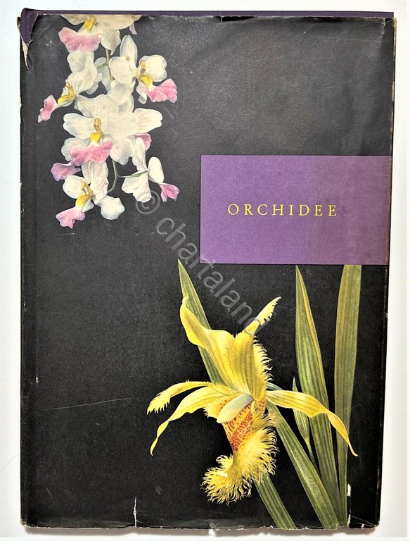Kupper / Linsenmaier - Orchidee - ed. 1952