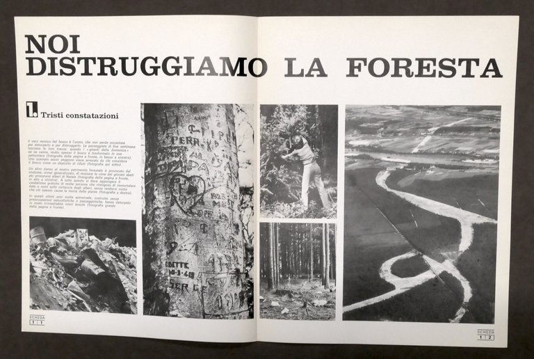 L. Cedrini - Boschi e foreste: un patrimonio da salvare …
