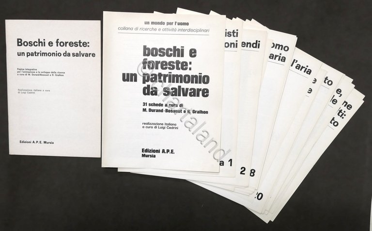 L. Cedrini - Boschi e foreste: un patrimonio da salvare …