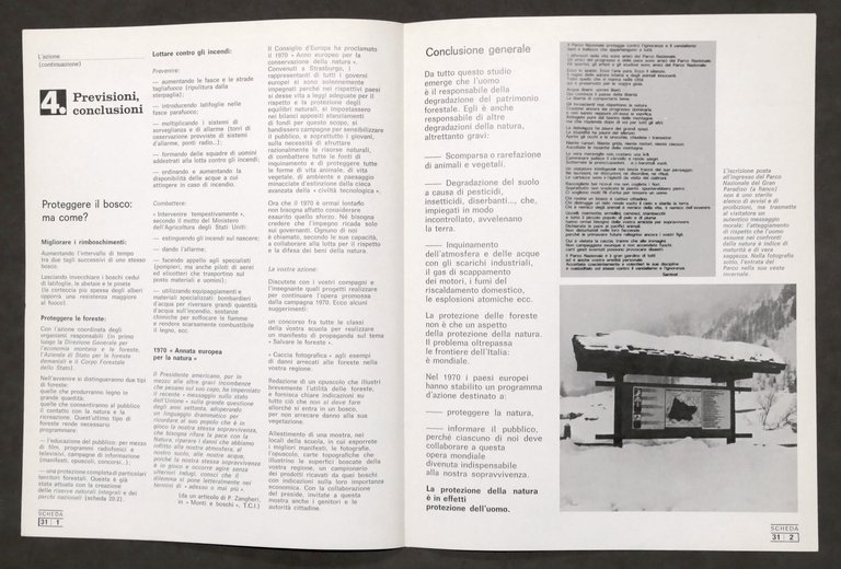 L. Cedrini - Boschi e foreste: un patrimonio da salvare …