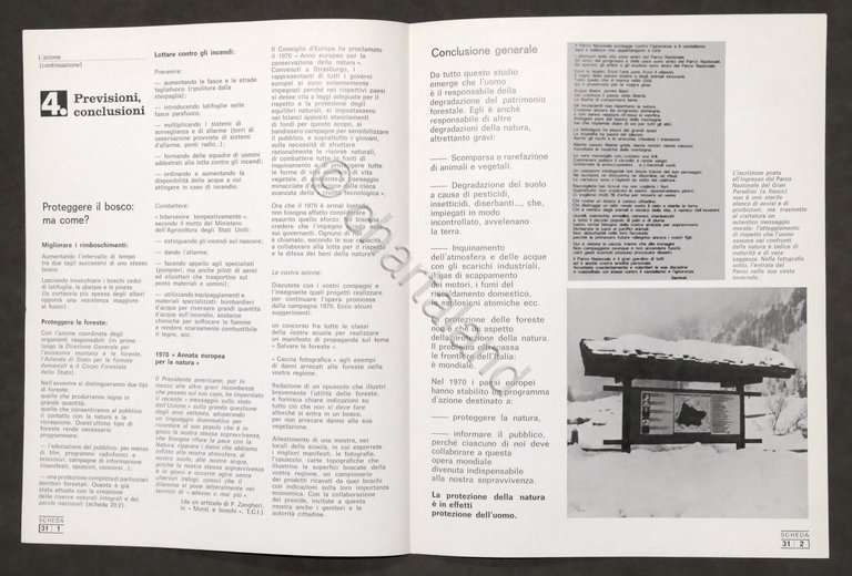 L. Cedrini - Boschi e foreste: un patrimonio da salvare …