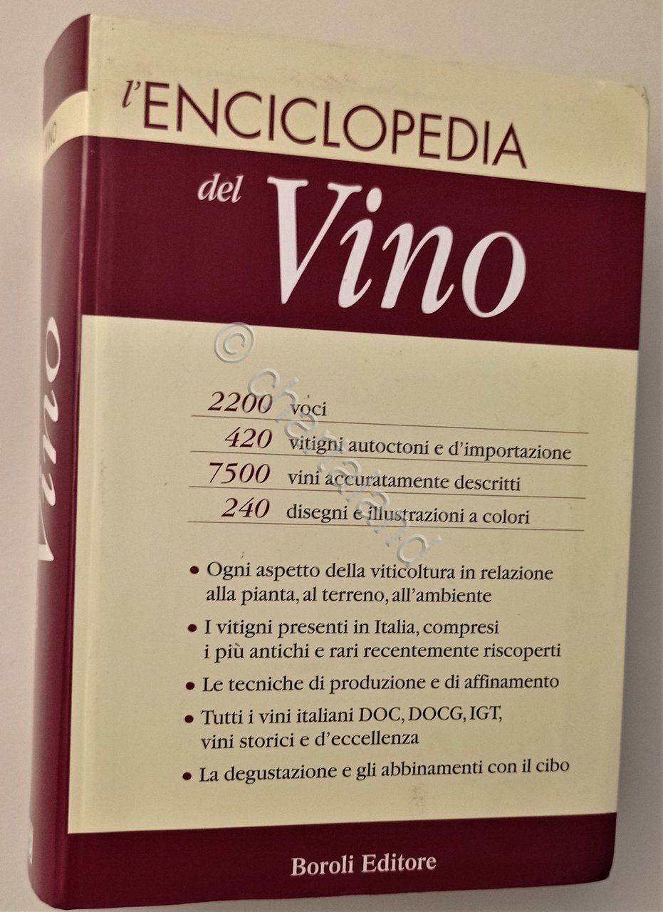 L'enciclopedia del vino - ed. 2007 Boroli