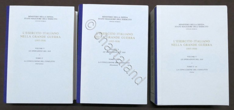 L'Esercito Italiano nella Grande Guerra Volume V - Tomo 2°, …
