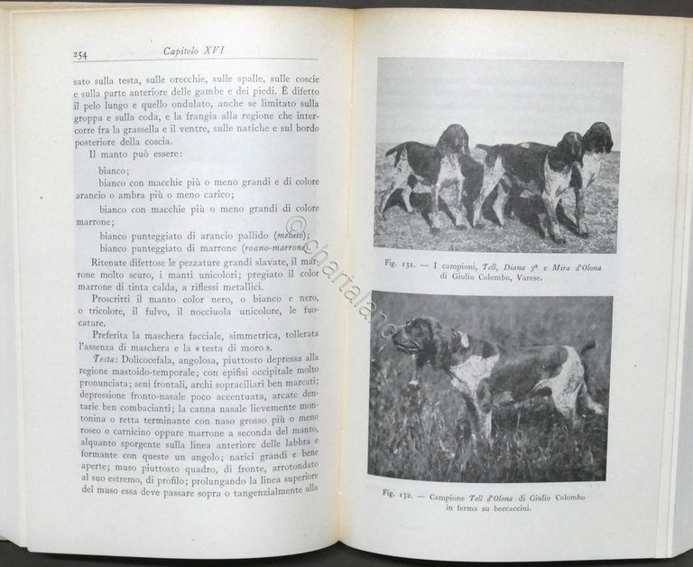 L. Ghidini - Nuovo manuale del cacciatore - ed. 1956 …