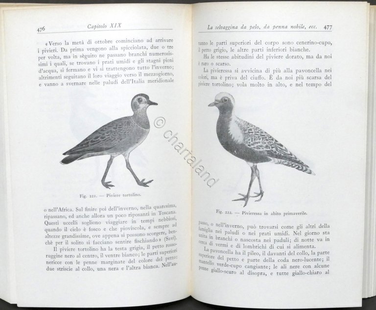 L. Ghidini - Nuovo manuale del cacciatore - ed. 1956 …