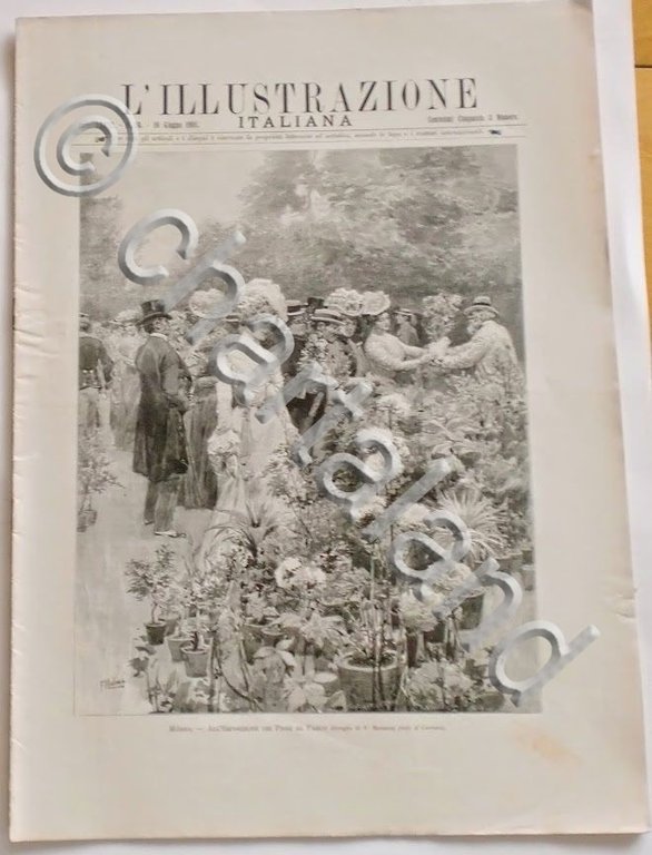L'illustrazione Italiana - All'Esposizione dei Fiori - N° 24 - …