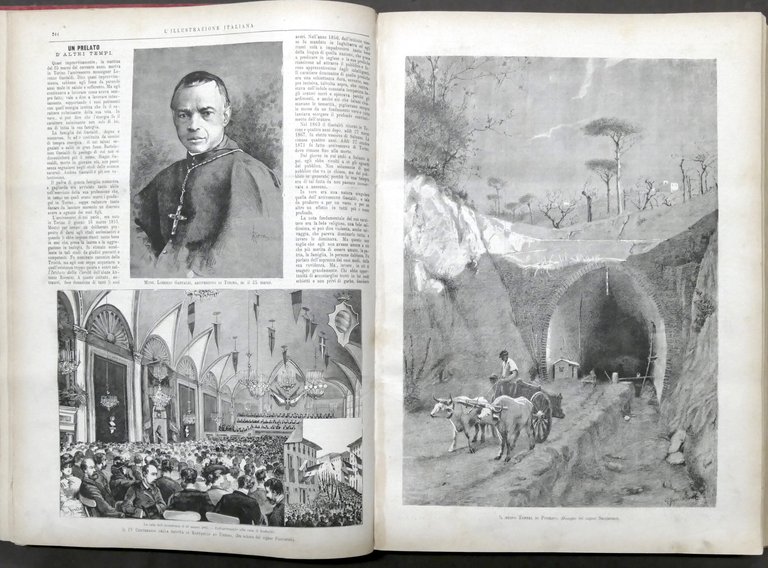 L'Illustrazione Italiana - Annata completa 1883