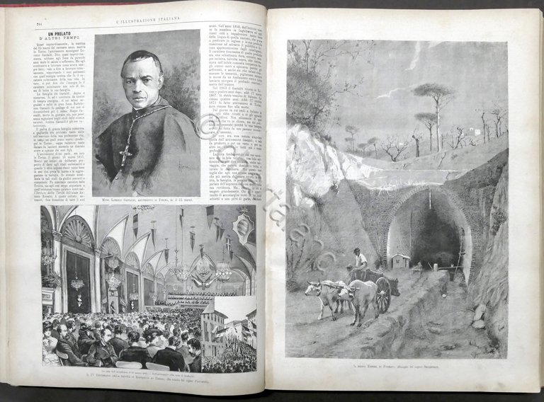 L'Illustrazione Italiana - Annata completa 1883