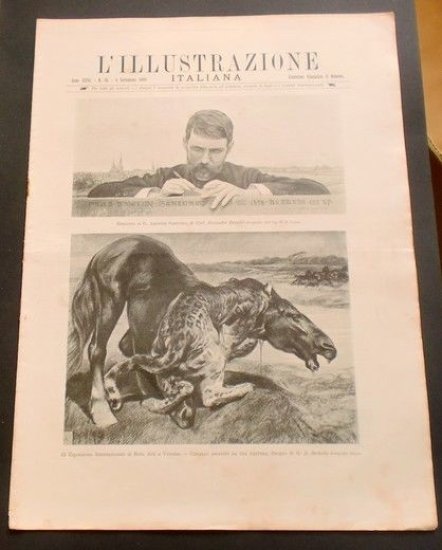 L'illustrazione Italiana - Cavallo assalito da pantera - N° 36 - Settembre 1899